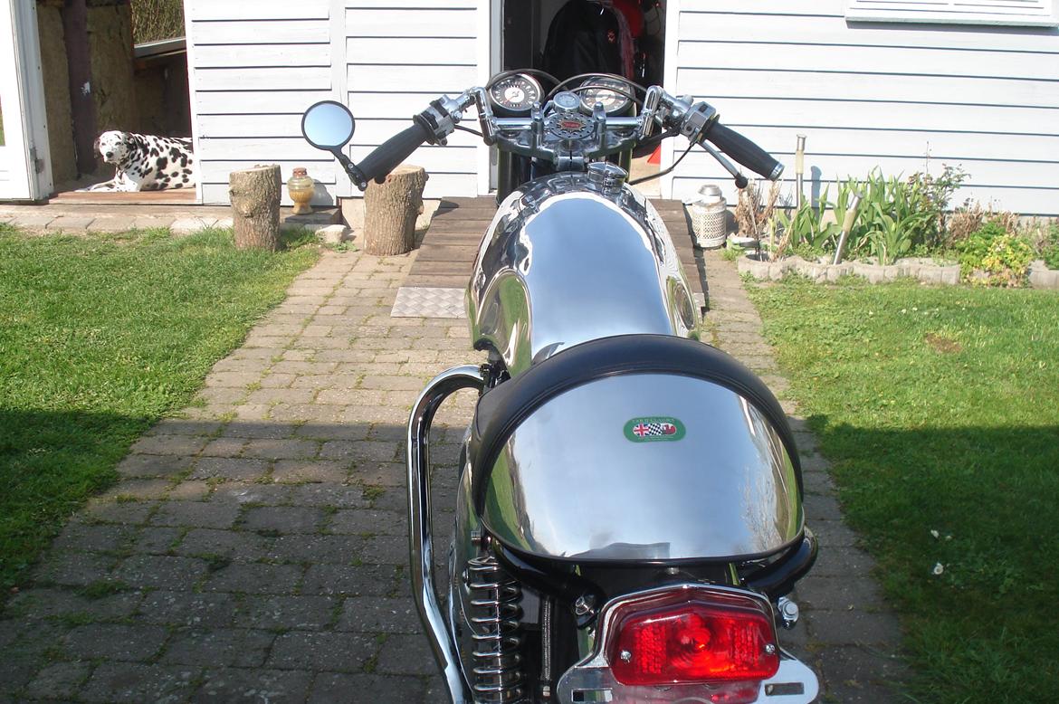 BSA A 65 billede 6