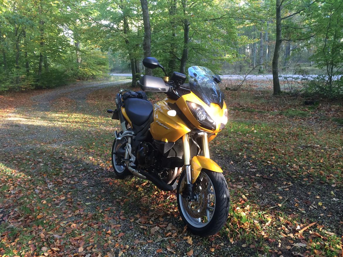 Triumph tiger 1050 billede 8