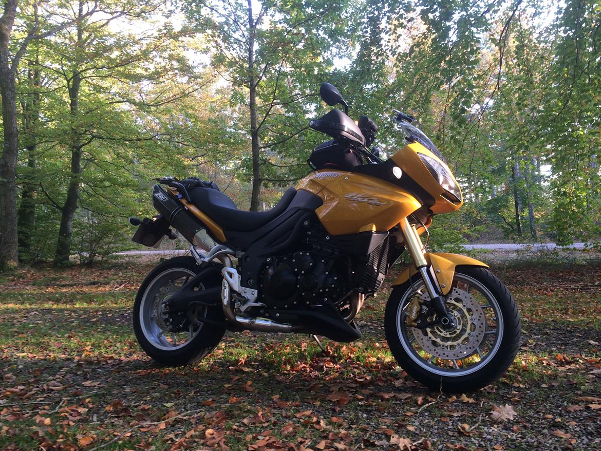 Triumph tiger 1050 billede 11