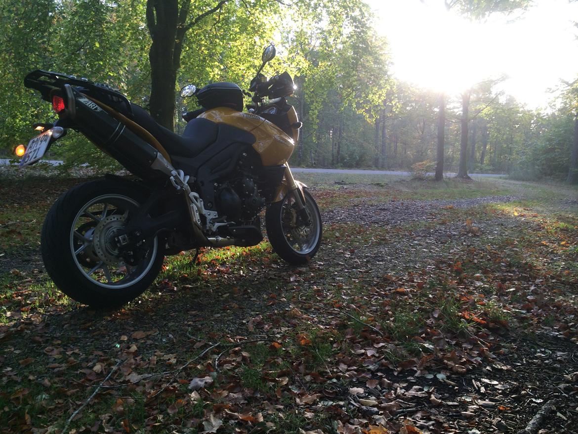 Triumph tiger 1050 billede 12