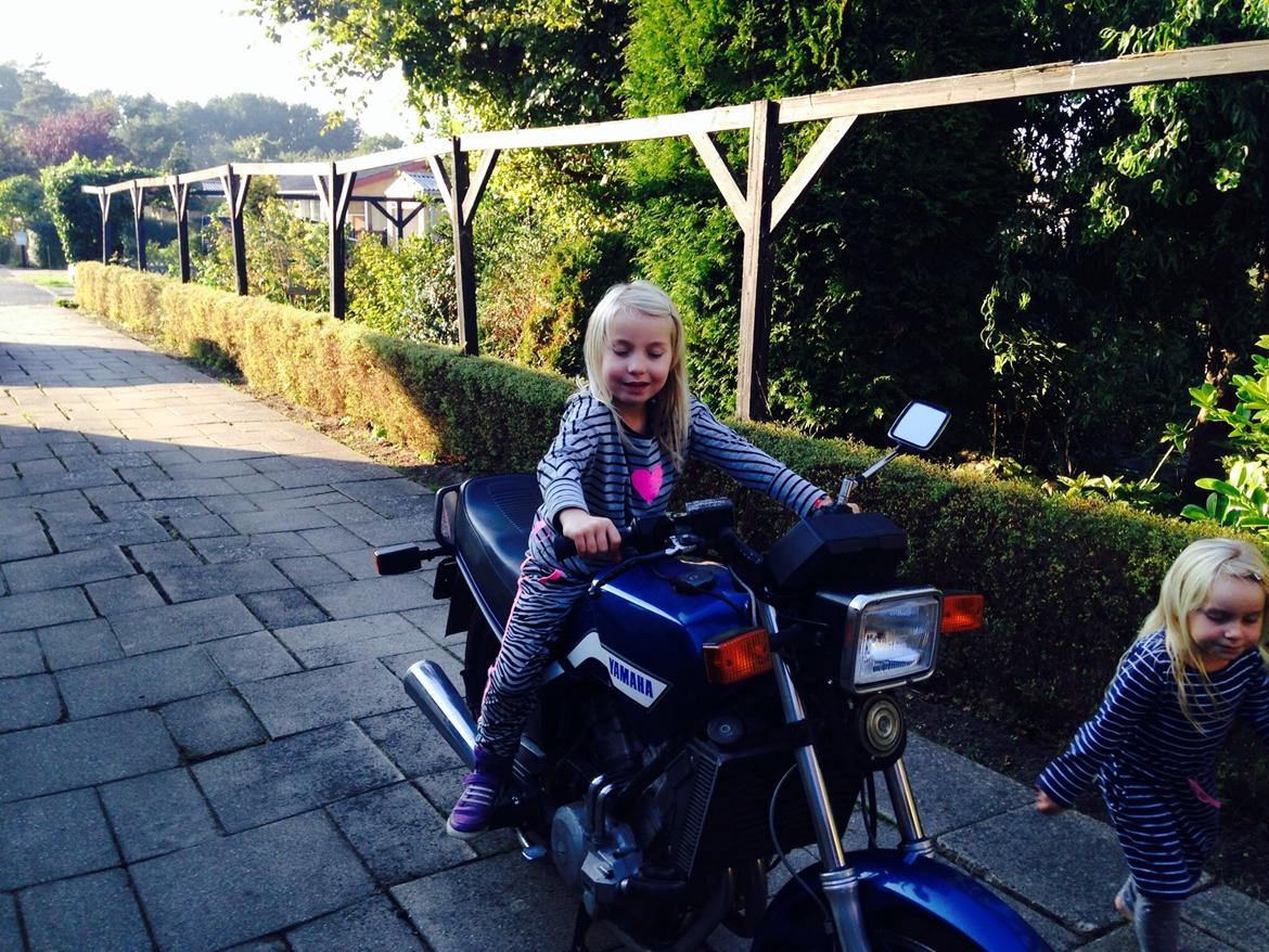 Yamaha XZ 550 billede 6