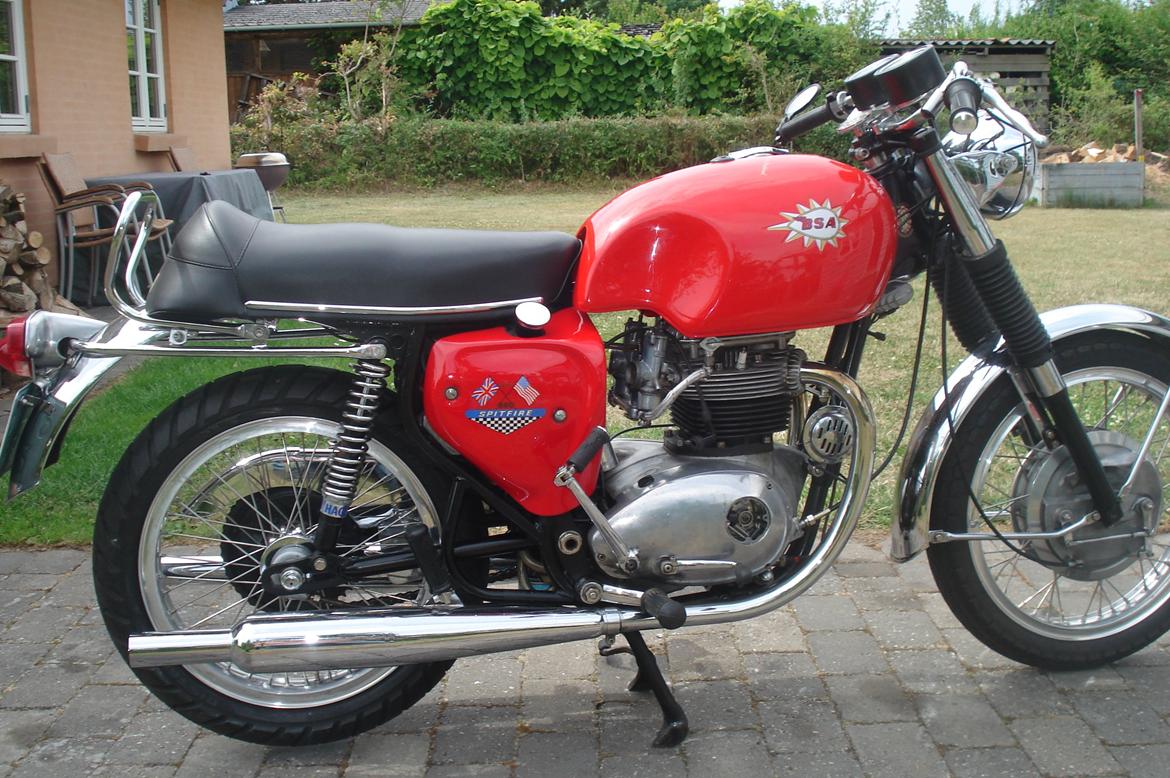 BSA A 65 Spitfire billede 4