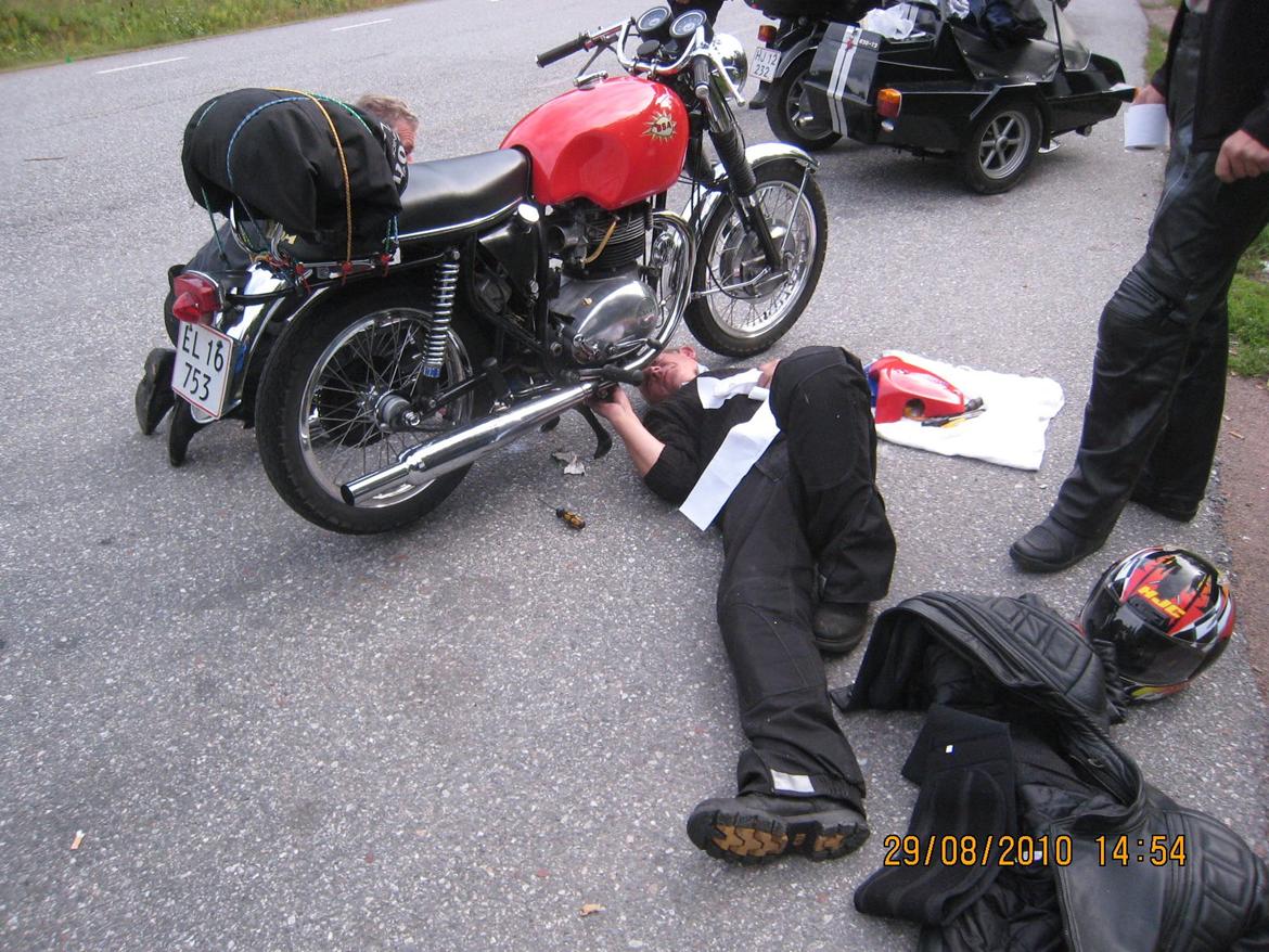 BSA A 65 Spitfire billede 7