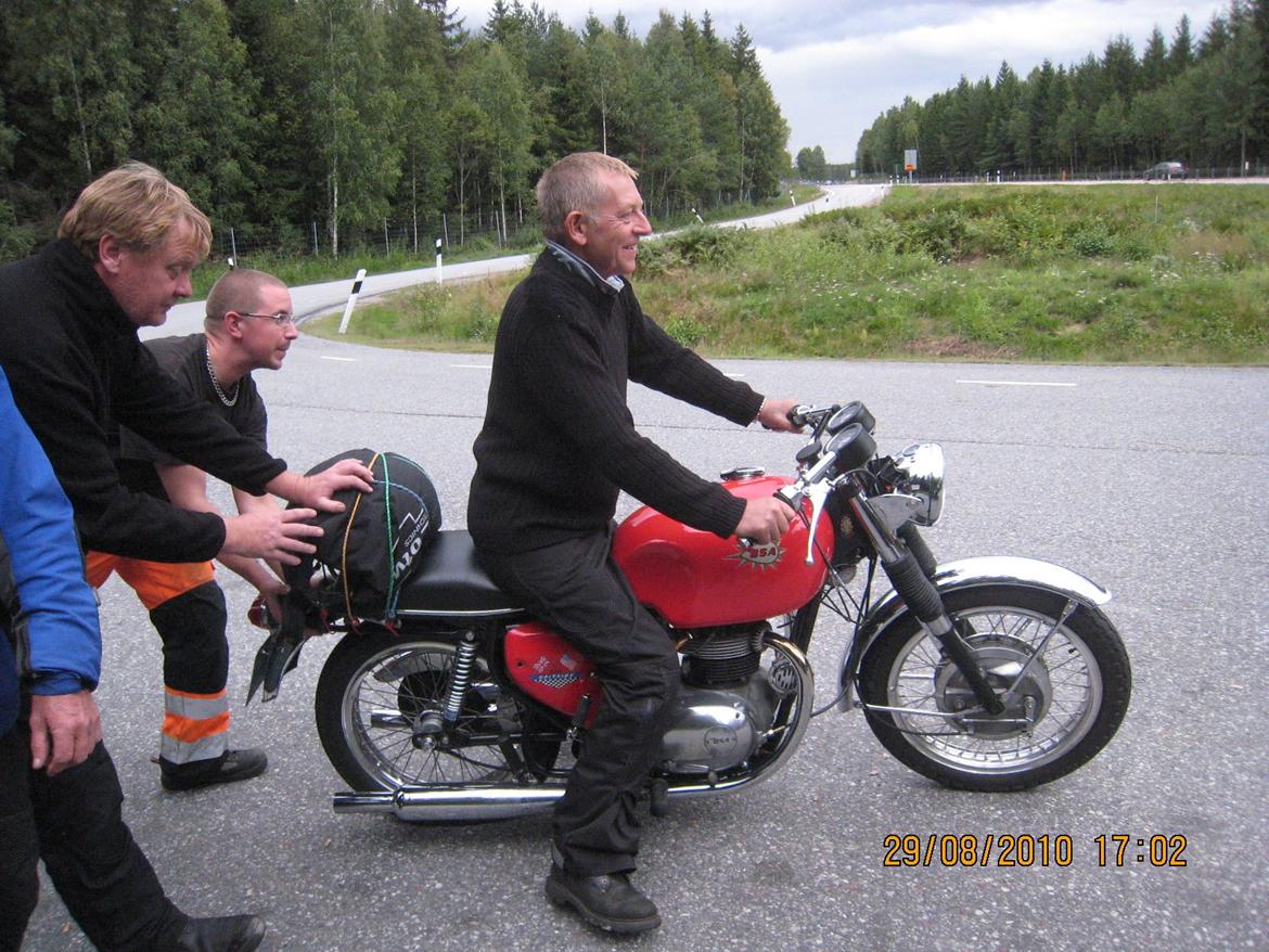 BSA A 65 Spitfire billede 8