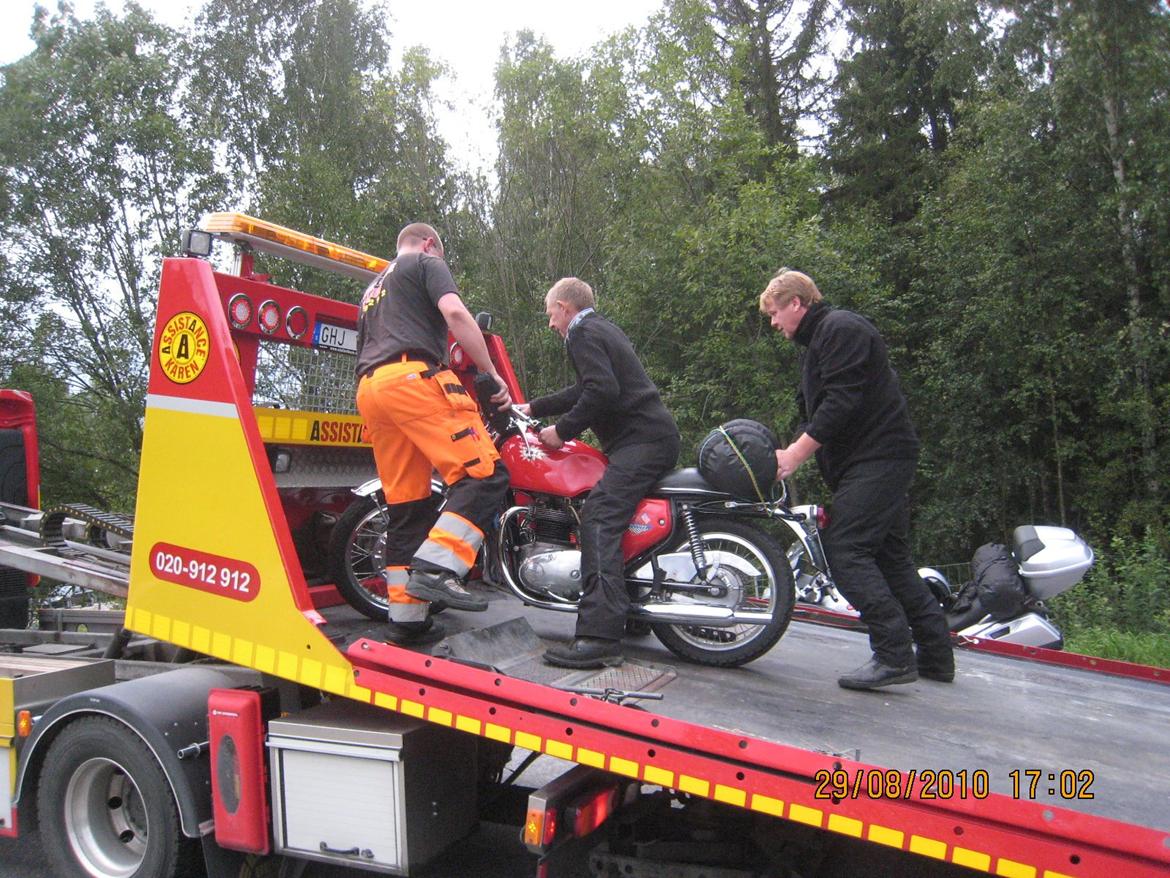 BSA A 65 Spitfire billede 9