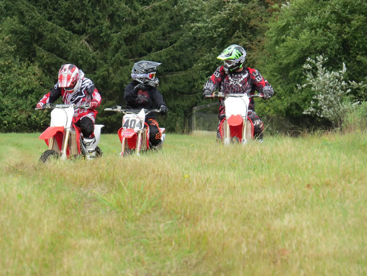 Honda CRF250 billede 5