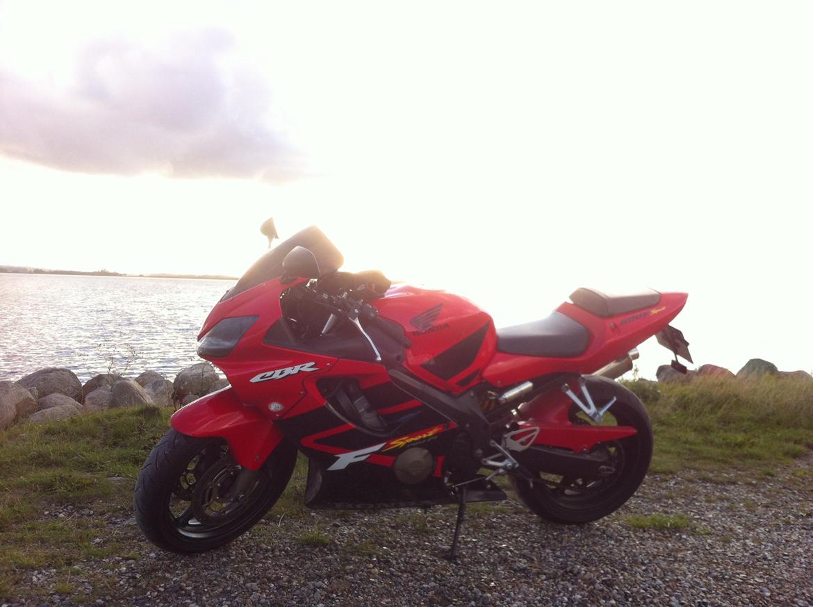 Honda CBR600 F4i Sport - Solnedgang ved Limfjorden. billede 6