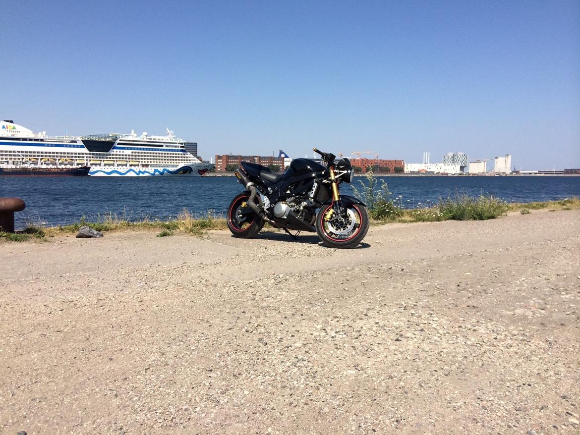 Suzuki SV 1000n billede 2