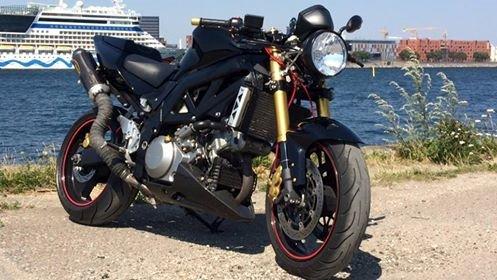 Suzuki SV 1000n billede 3