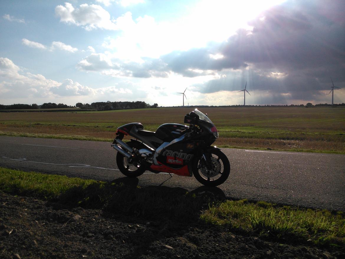 Aprilia RS 250 billede 2