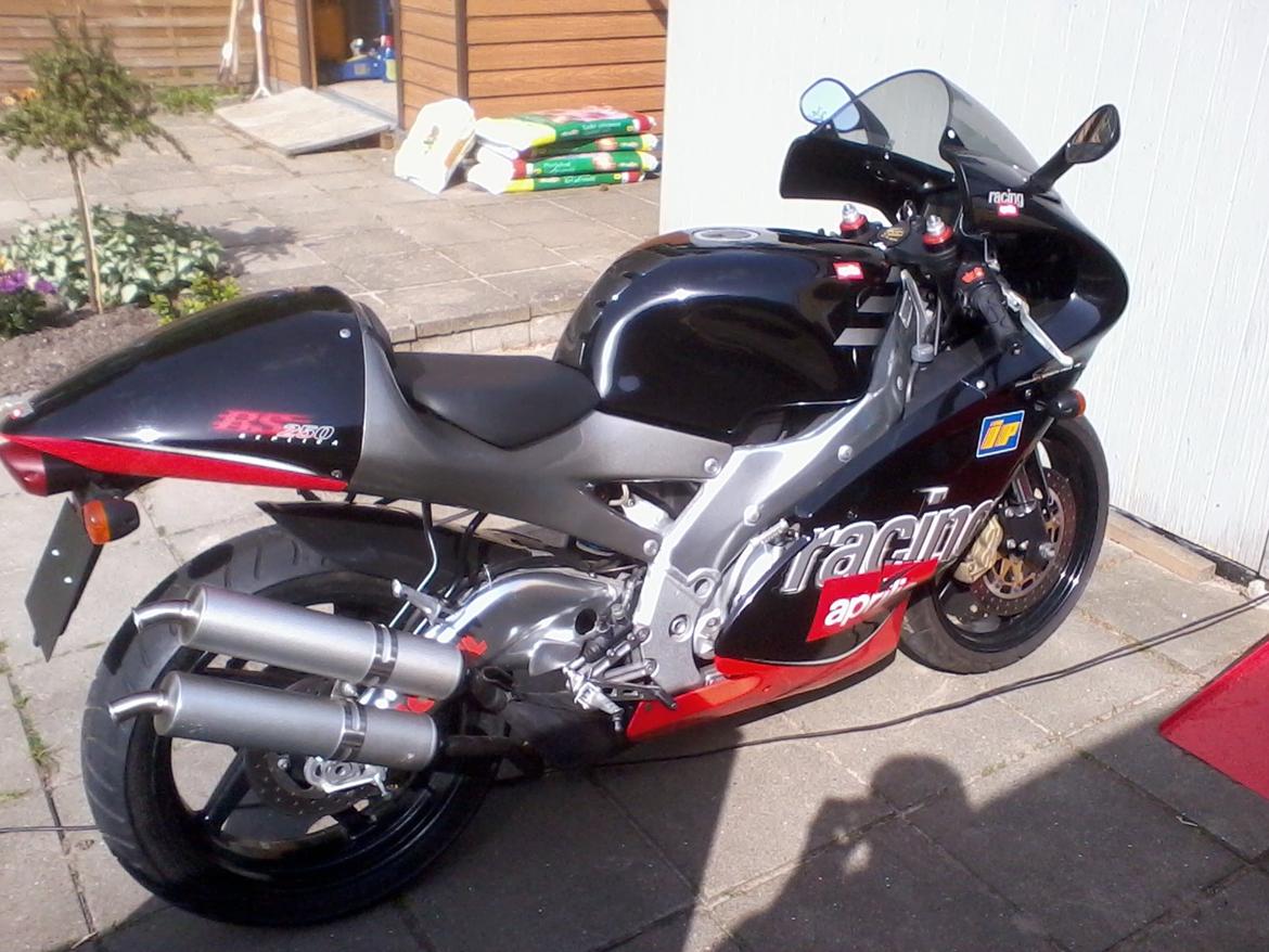 Aprilia RS 250 billede 5