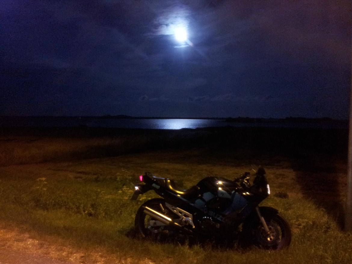 Suzuki GSX 600f billede 3