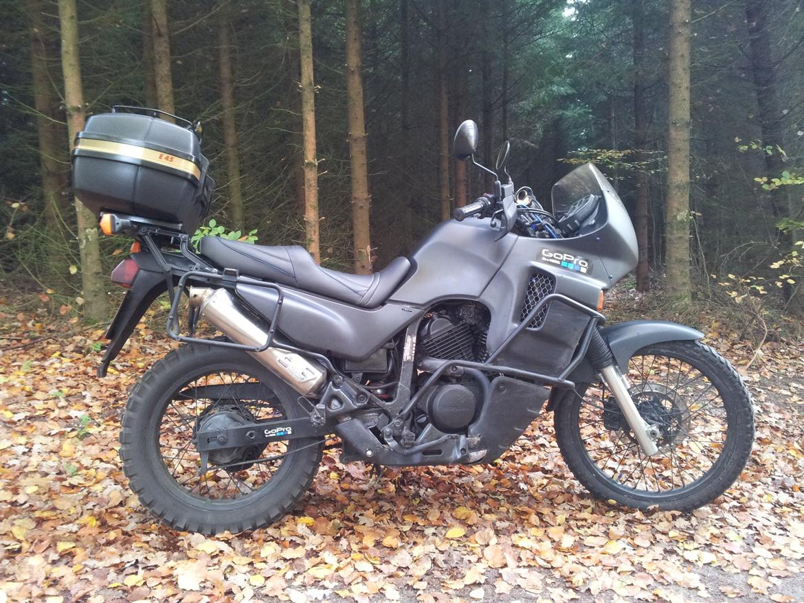 Honda Transalp XL 600 V - På skovtur. :) billede 1