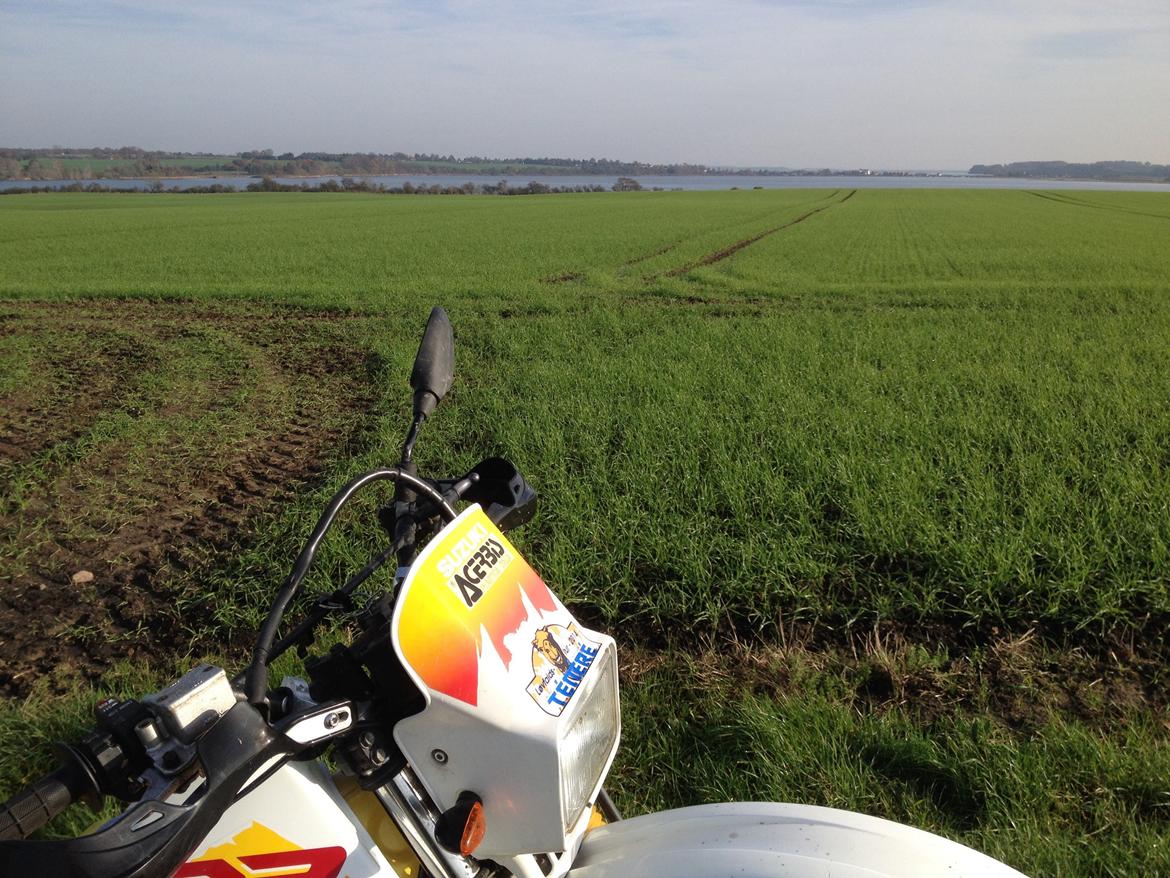 Suzuki DR 350 "SOLGT" billede 12