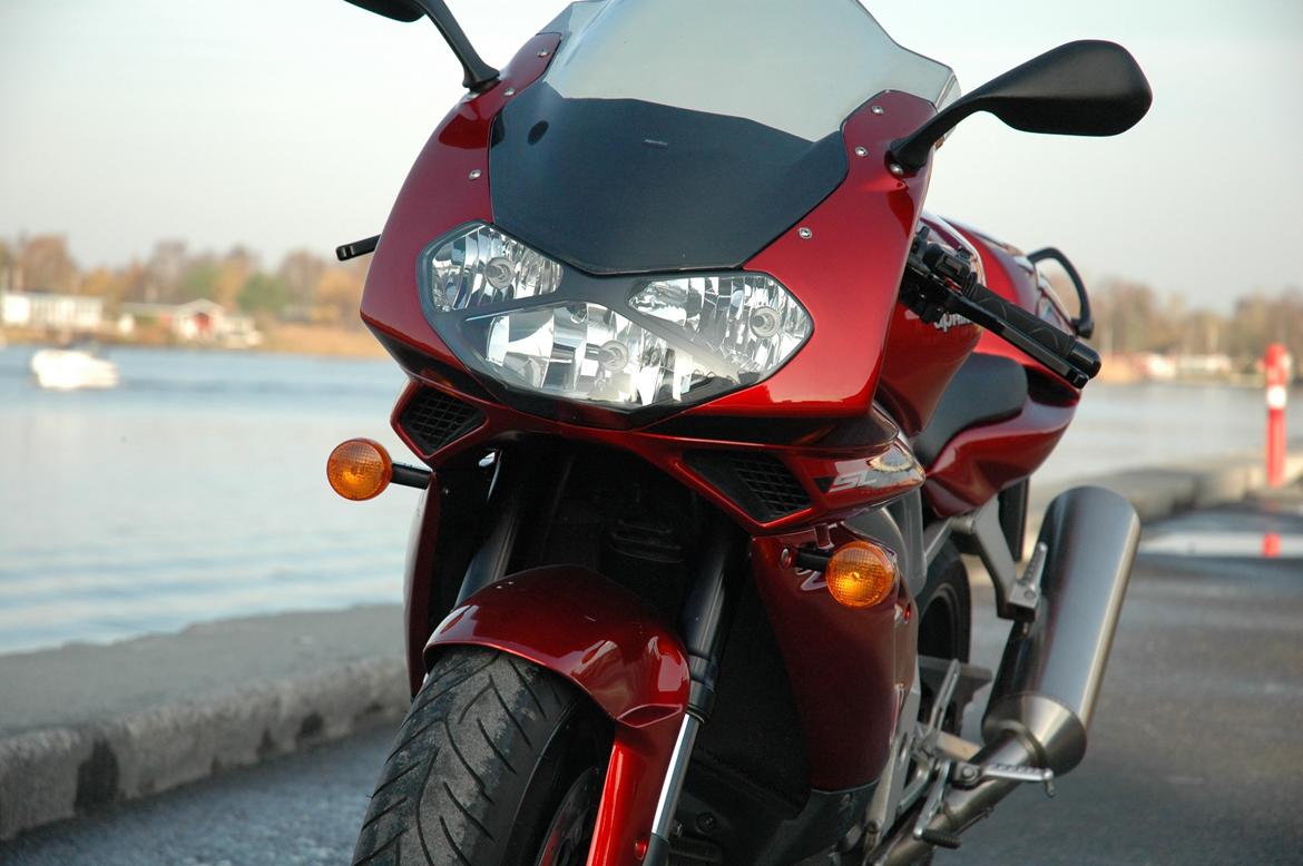 Aprilia SL1000 Falco billede 2