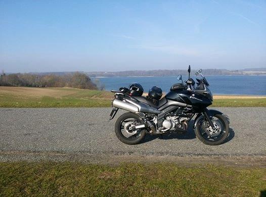 Suzuki v strom billede 1