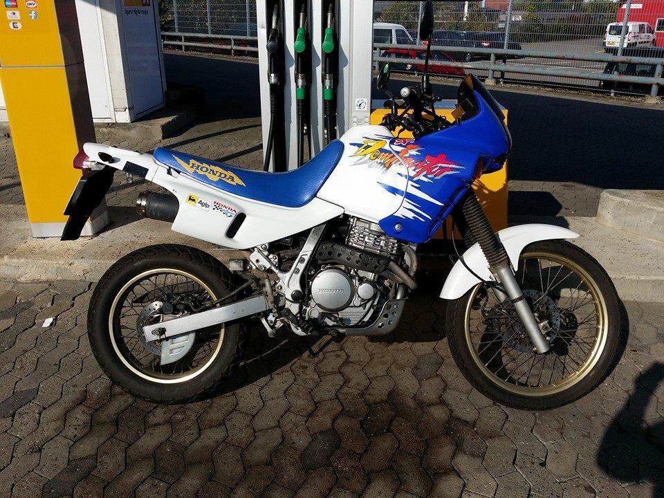 Honda SOLGT NX 650 Dominator billede 1