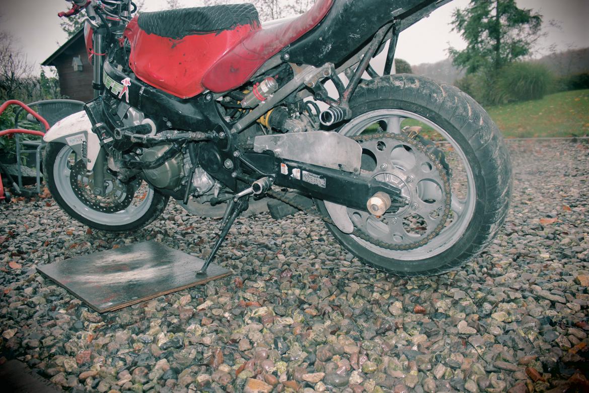 Honda Cbr 600 billede 5