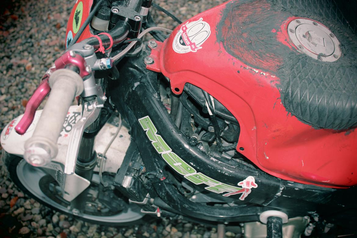 Honda Cbr 600 billede 6