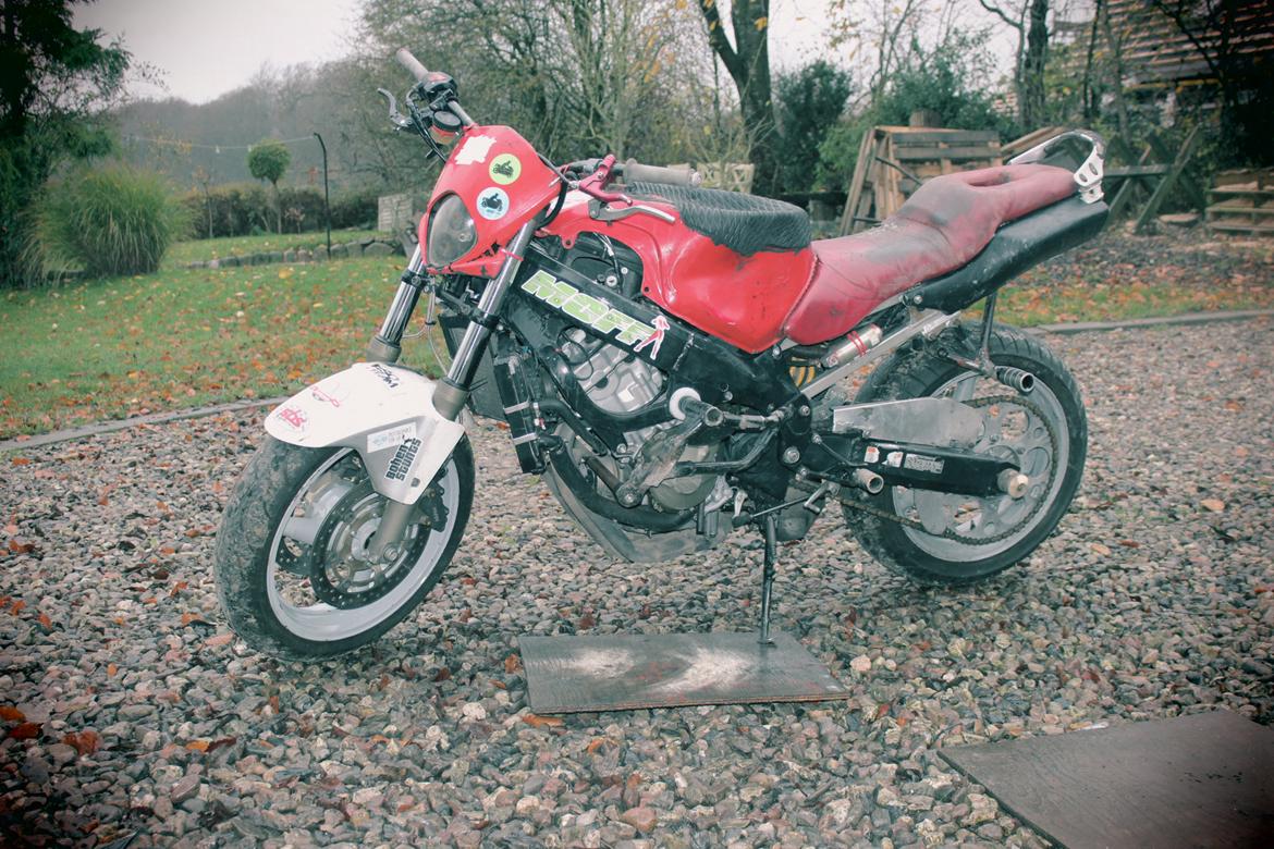 Honda Cbr 600 billede 8