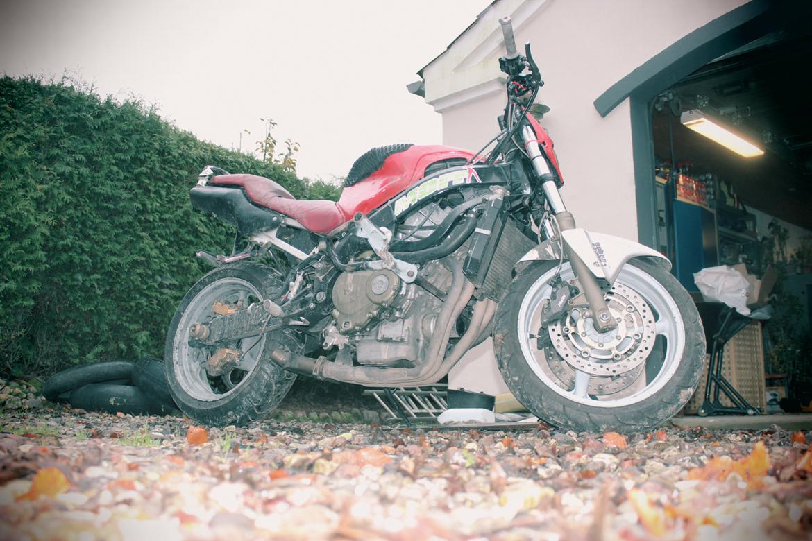 Honda Cbr 600 billede 9