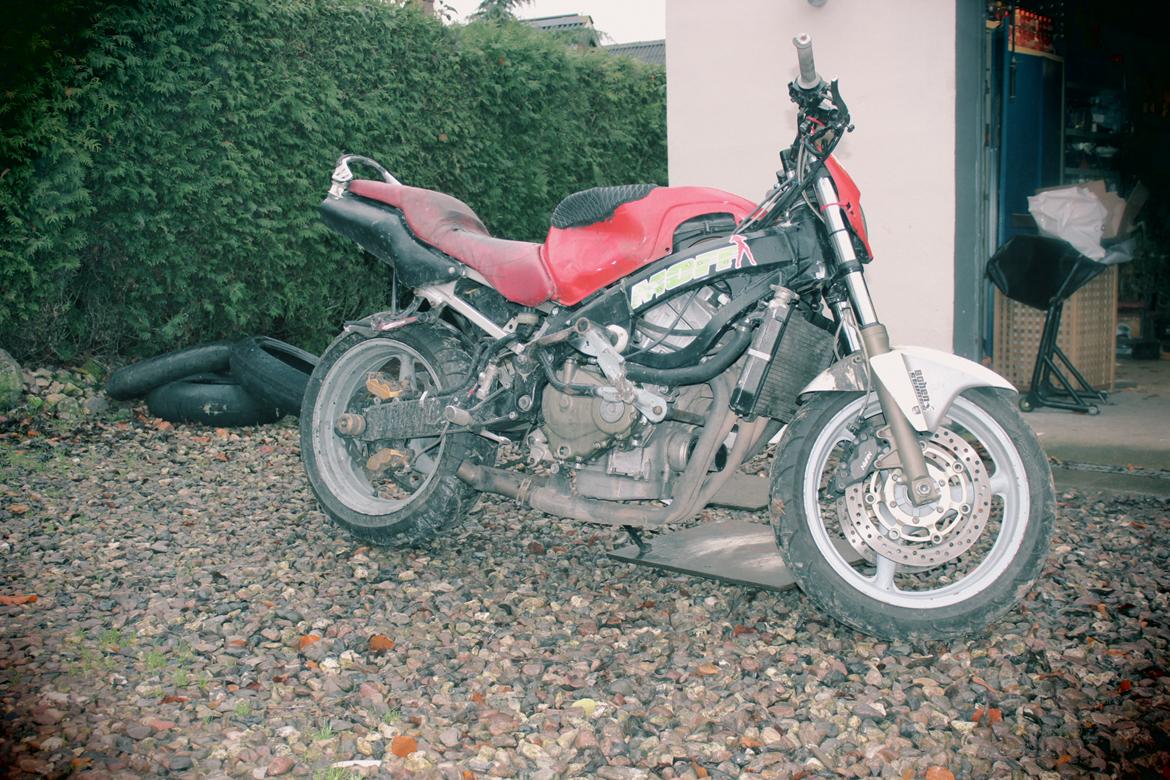 Honda Cbr 600 billede 10