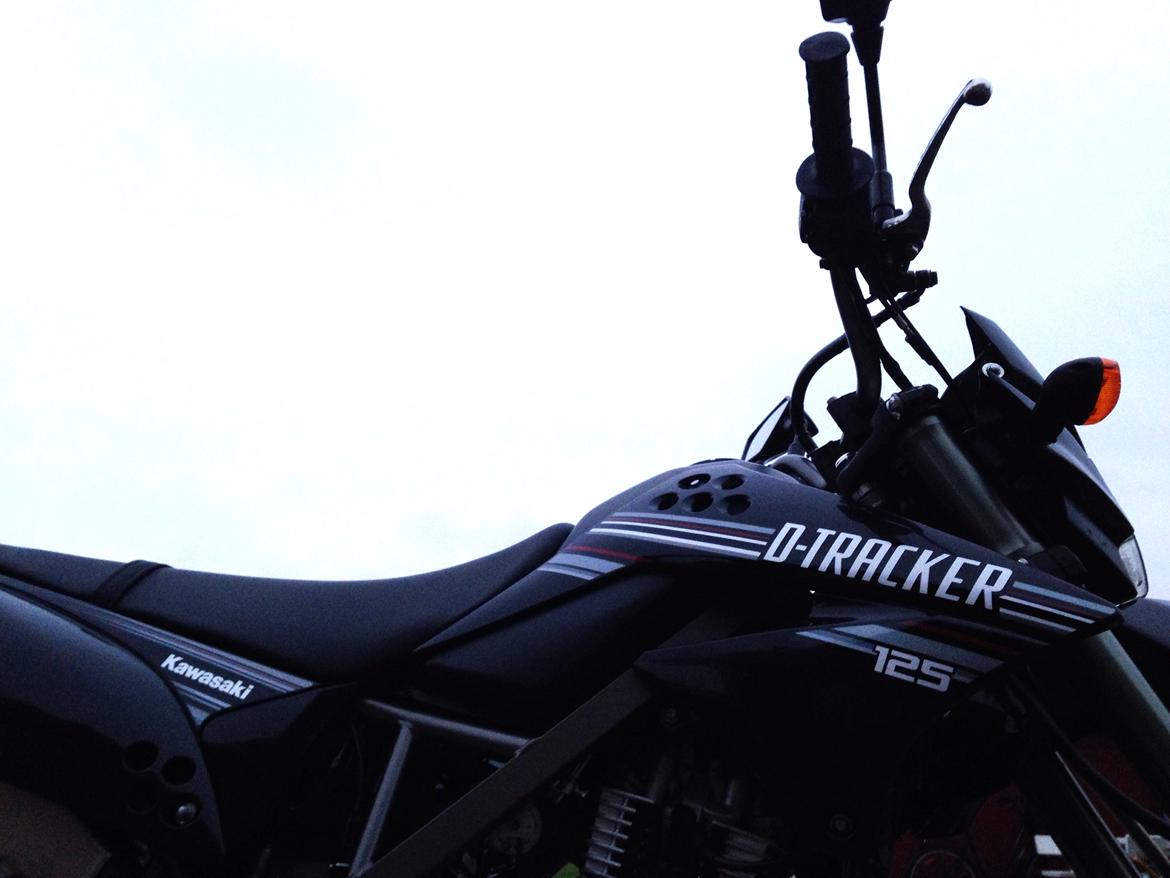 Kawasaki D-Tracker  billede 8