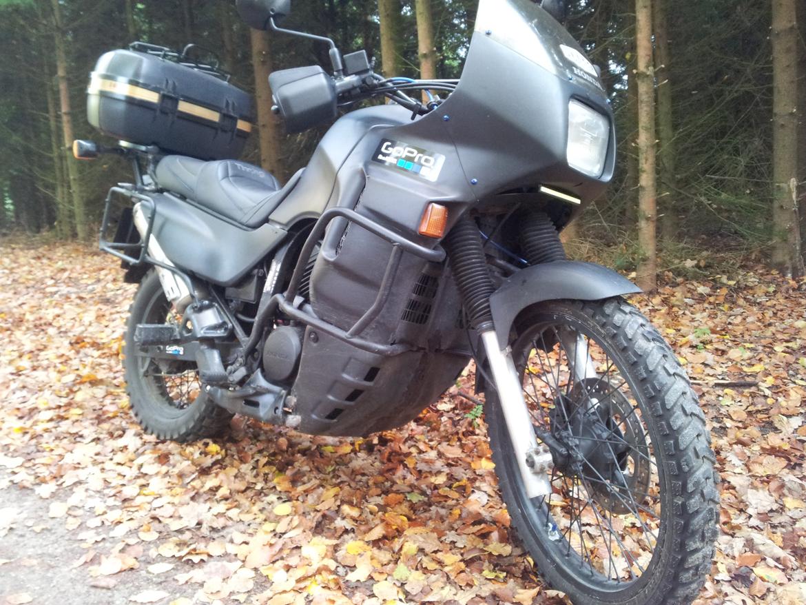 Honda Transalp XL 600 V billede 3
