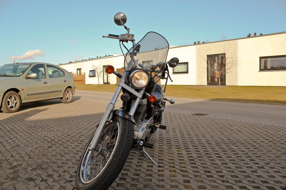 Suzuki Savage billede 2