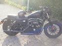 Harley Davidson Sportster Iron XL883 N