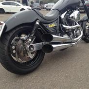 Harley Davidson FXR Super Glide --REPTILE--