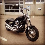 Harley Davidson FXR Super Glide --REPTILE--