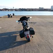 Yamaha XV 1600 Wild Star