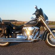 Yamaha XV 1600 Wild Star