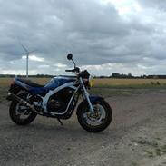 Suzuki gs500e