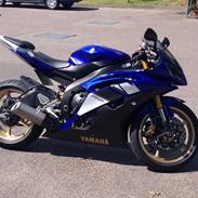 Yamaha R6 RJ15