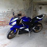 Yamaha R6 RJ15