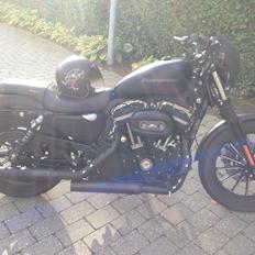Harley Davidson Sportster Iron XL883 N
