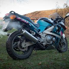 Kawasaki ZZR 600