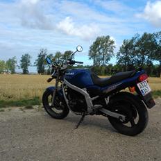 Suzuki gs500e