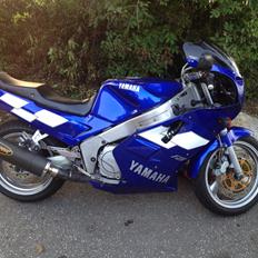 Yamaha FZR / YZF 1000 BASTARD