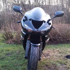 Kawasaki Ninja zx10r