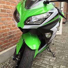Kawasaki Ninja - 30 års jubilæumsmodel