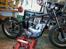 BSA A10 Golden Flash