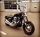 Harley Davidson FXR Super Glide --REPTILE--