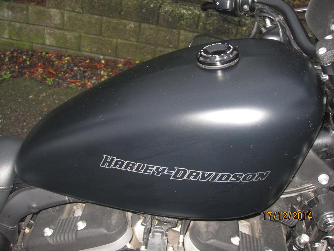 Harley Davidson Sportster Iron XL883 N billede 14