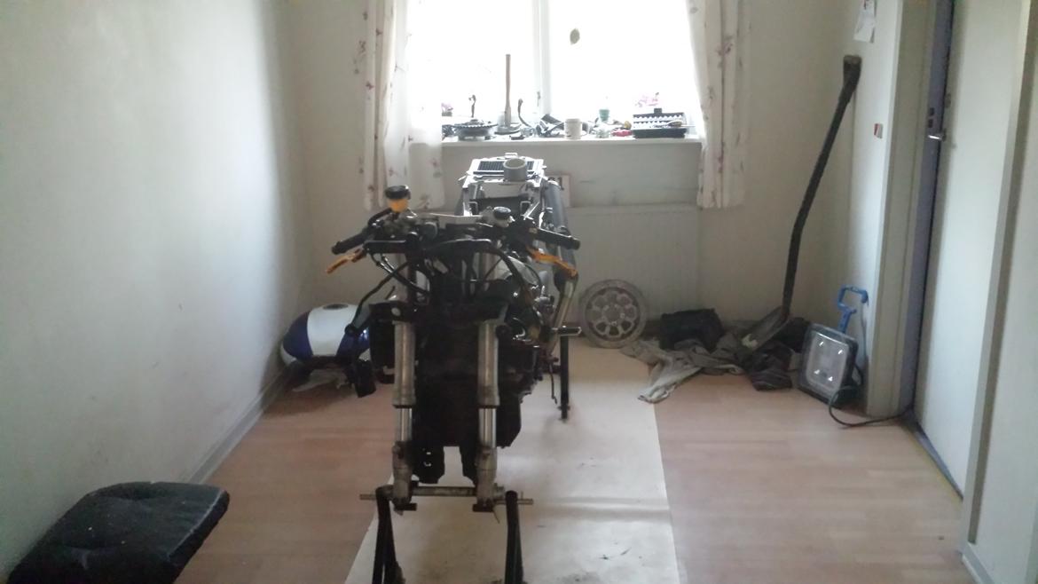 Suzuki TL1000R billede 7