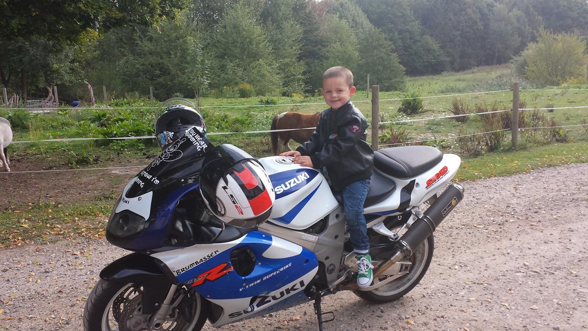 Suzuki TL1000R billede 8