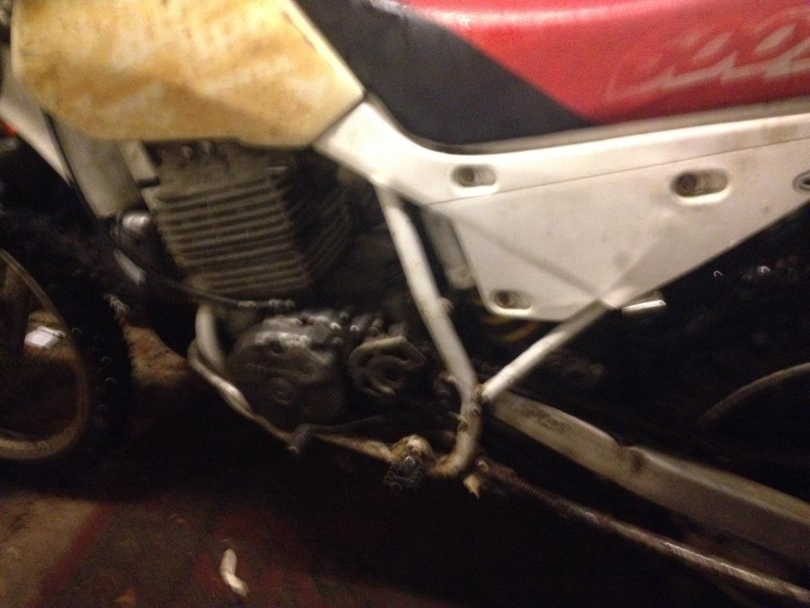 Honda xr 600 billede 5