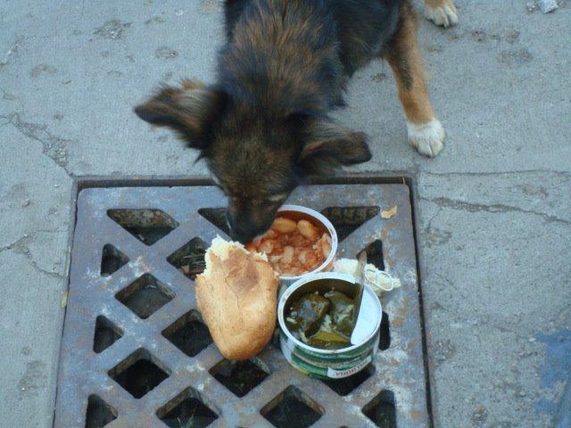 BMW F800 GS billede 25